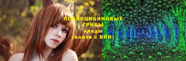 соль ск Бугульма