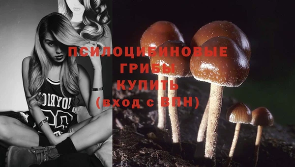 соль ск Бугульма
