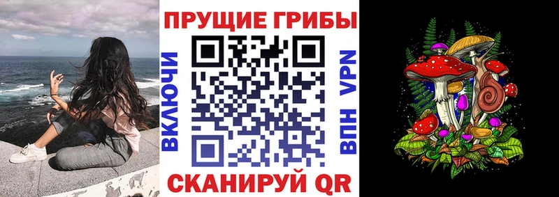 Галлюциногенные грибы мицелий  МЕГА зеркало  Гремячинск 